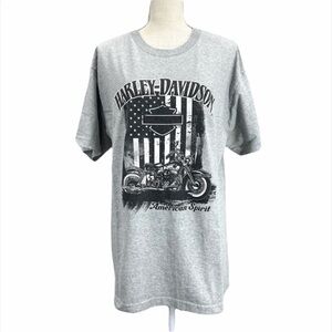 HARLEY-DAVIDSON Men’s/Unisex Gray Short Sleeve Graphic Tee Shirt Size Large